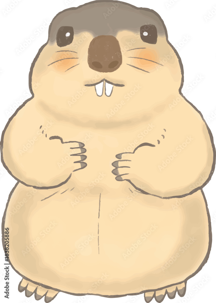 Fototapeta premium かわいいマーモットの手描き風イラスト