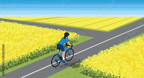 Cyclist enjoying a scenic ride through vibrant yellow flower fields on a sunny day