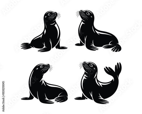 Seal silhouette, Seal sitting silhouette, flipper Seal lying illustration, Seal balancing ball vector, Seal black vector design Set collection, seal silhouette, seal sitting silhouette, seal lying 