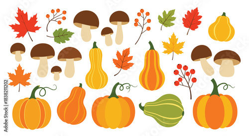 Large collection of cute autumn and Thanksgiving elements including various pumpkins gourds colorful fall leaves and wild mushrooms.