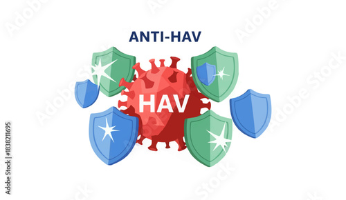 Vector Illustration of Anti-HAV (Hepatitis A Antibody) Immunity and Vaccine Protection