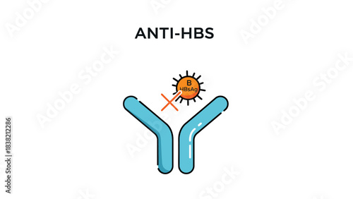 Illustration of Hepatitis B Surface Antibody (ANTI-HBS) Vector and Virus Neutralization