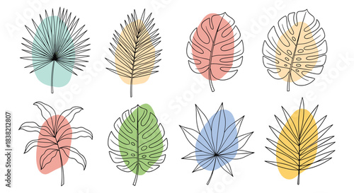 Hand-drawn tropical palm and monstera leaves with abstract colorful spots in a trendy minimalist line art boho style.