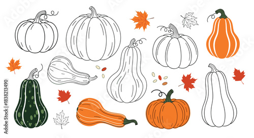 A collection of hand-drawn pumpkins and gourds in various shapes with autumn maple leaves in a doodle sketch style.