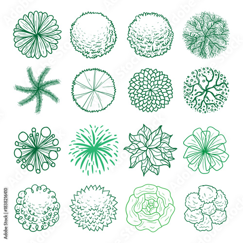 Architechture Tree Plan Outline Element
