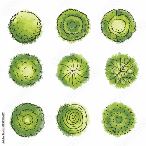 Architechture Tree Plan Element