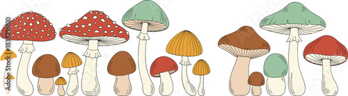 Hand Drawn Mushroom Vector Border Featuring Colorful Forest Fungi, Toadstools, and Botanical Nature Elements in Vintage Style