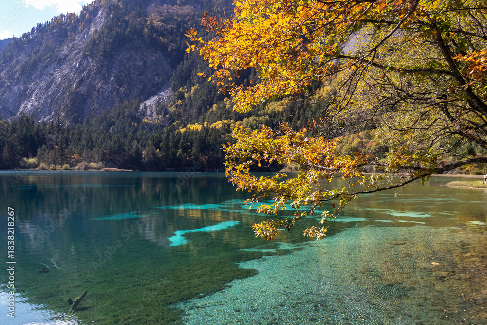 Obraz premium Golden autumn leaves hang over clear turquoise mountain lake reflecting forest and rocky cliffs, tranquil seasonal mood at Five-Flower Lake, Jiuzhaigou in Sichuan, China