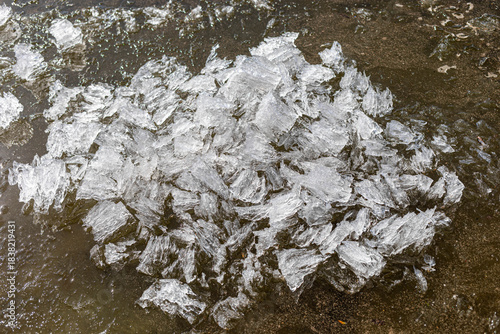 A collection of clear ice fragments is spread across a damp surface, showcasing unique shapes and textures, reflecting light and creating an intriguing natural pattern in the environment