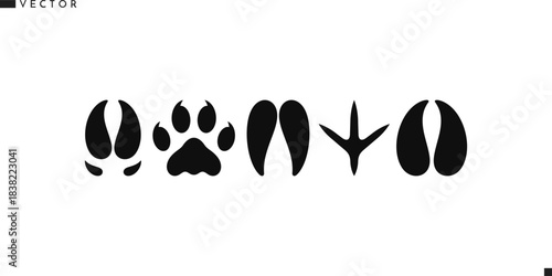 Animal paw prints icon set. Isolated tiger sheep goat chicken bull cow pig and leopard paw prints vector illustration 