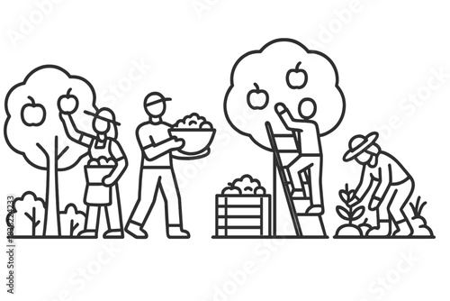 Farmers harvesting fruit and planting seedlings in sunny orchard setting