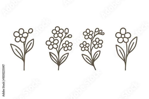 Four hand drawn botanical elements featuring small blooming flowers and stems