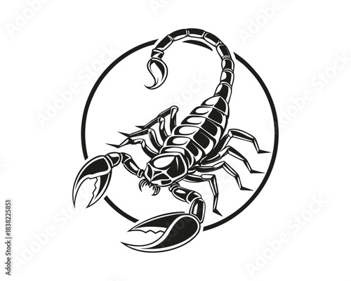 A striking black and white graphic of a scorpion with its tail curled upwards, enclosed within a circular border. The artwork is highly detailed