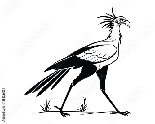 A striking black and white sketch depicts a secretary bird with its distinctive crest, long legs, and poised stride across grassy terrain