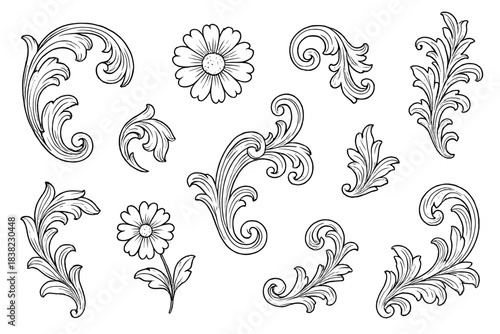 Collection of hand drawn baroque acanthus scroll ornaments and daisy flowers