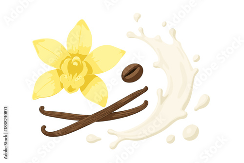 Vanilla flower coffee bean and milk splash ingredients composition