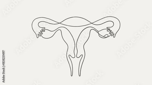 Minimalist female reproductive system icon, uterus and ovaries line drawing, medical anatomy vector, educational health symbol, clean design, black and white illustration, gynecology graphic element