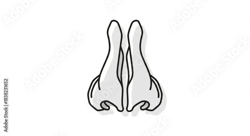 Anatomical illustration of the human skeleton shown from various viewpoints, providing a detailed visual reference