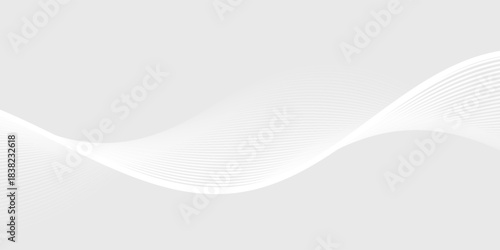 white wavy background. Elegant abstract vector background with smooth white wave lines on a light gray gradient.