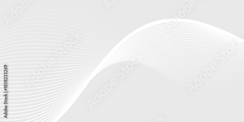white wavy background. Elegant abstract vector background with smooth white wave lines on a light gray gradient.