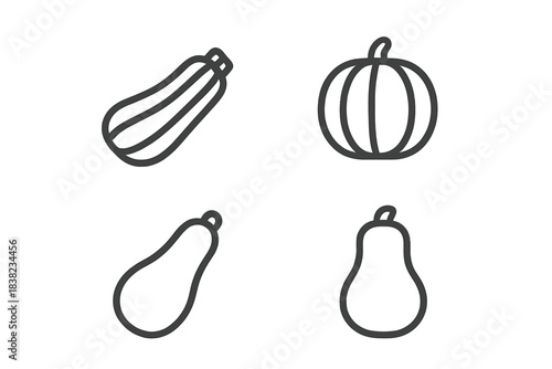 Four outline icons depicting various types of squash and gourds
