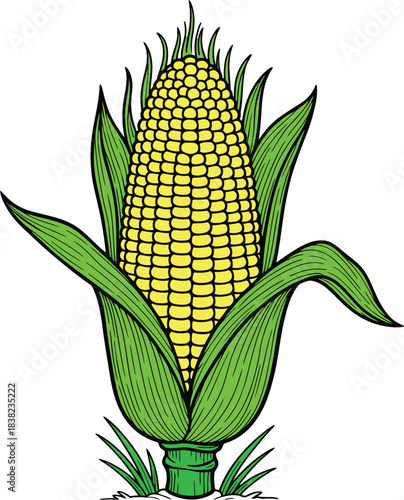 Vibrant yellow corn cob illustration with fresh green husks and stalk, showcasing a healthy agricultural harvest, perfect for food packaging, natural product branding, or organic farm designs