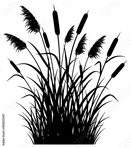 A black and white silhouette of reeds with cattails, black, grass, illustration, plant, profile, reed, stem, weed, against transparent background