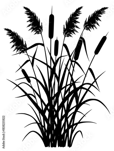 A black and white silhouette of reeds against a , black, blade, grass, illustration, plant, profile, reed, stem, weed, against transparent background