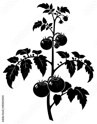 vector_silhouetteart_102