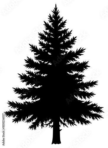 A black and white silhouette of a pine tree, black, christmas tree, fir tree, illustration, pine, profile, spruce, tree, against transparent background