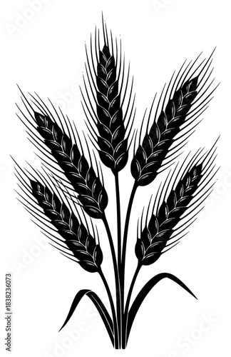 A black and white silhouette of a bunch of wheat, barley, black, bundle, ear, grain, illustration, profile, stem, wheat, wheat field, white, against transparent background