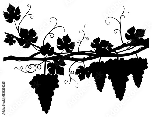 A black and white silhouette of a vine with grapes and leaves, black, branch, grape, hang, illustration, profile, stem, twig, vine, against transparent background