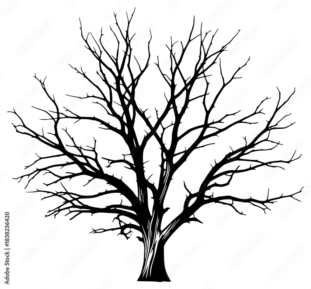 Fototapeta premium A black and white silhouette of a bare tree with no leaves, black, illustration, profile, tree, against transparent background