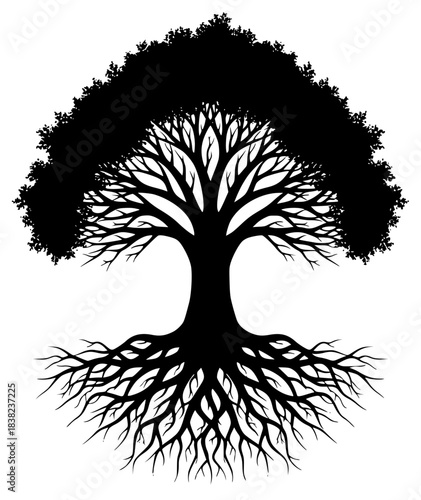 A black and white silhouette of a tree with its roots visible, black, illustration, oak tree, profile, root, tree, tree root, against transparent background