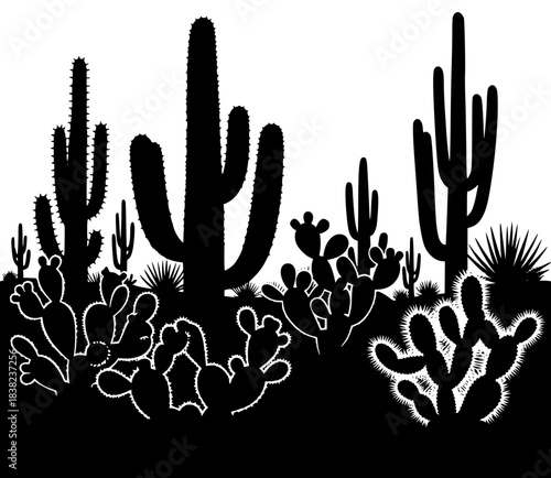 A black and white silhouette of various cacti and succulents, black, cactus, desert, illustration, plant, profile, succulent, against transparent background