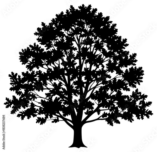 A black and white silhouette of a large tree with leaves, black, illustration, maple, maple leaf, oak tree, profile, tree, against transparent background