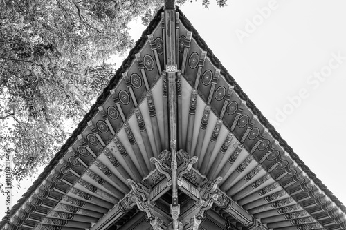 Asian Building Corner Eaves  in Black and White