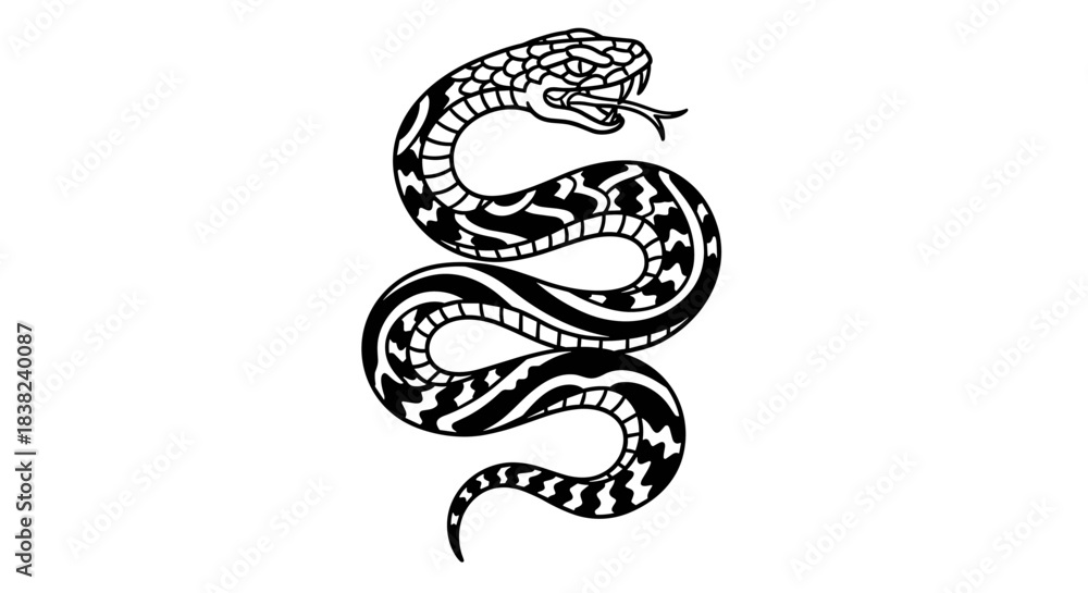 Fototapeta premium Detailed Black and White Illustration of a Coiled Snake.