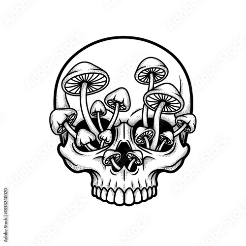 Skull with Mushrooms Growing Out of Eye Sockets and Nose.