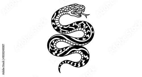 Detailed Black and White Illustration of a Coiled Snake.