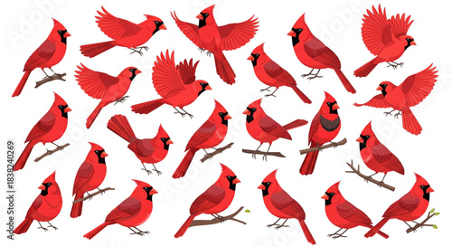 Vibrant Red Northern Cardinals Collection Wildlife Design Elements for Nature Projects and Spring Decor