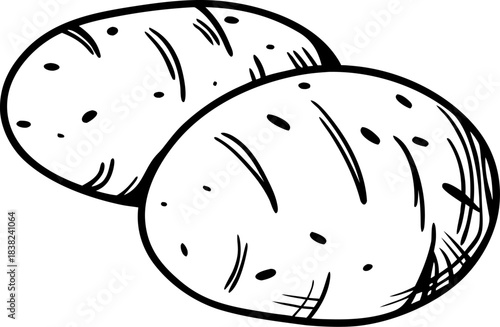 Simple hand drawn doodle style illustration depicting two whole unpeeled organic farm fresh potatoes perfect for rustic cooking recipes agricultural designs 