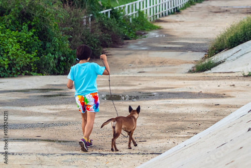 Asian woman walking together with her pet along path in park. Sports woman walking for exercise with dog outside in park. Cheerful woman walking and running with her dog on sidewalk. Active leisure.