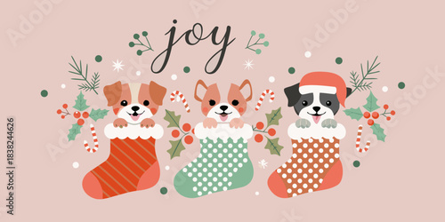 Festive illustration of adorable puppies peeking from christmas stockings with joy