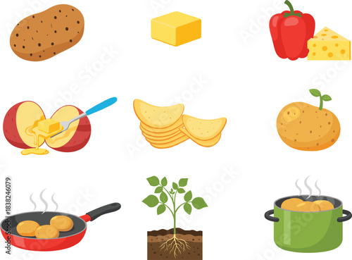 Potato food vector set featuring raw potatoes, cooked potatoes, potato chips, frying pan, boiling pot, plant growth, butter, and ingredients.