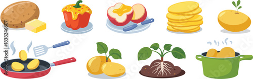 Potato food vector collection featuring baked potatoes, mashed potatoes, pancakes, frying, boiling, potato plants, butter, and cooking ingredients.