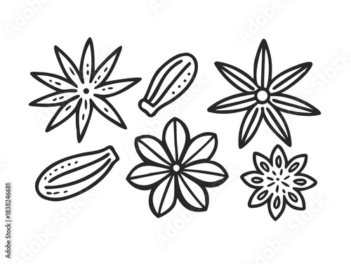 Cinnamon stick, star anise, anise and cardamom vector. Isolated icons on white background .vector icon
