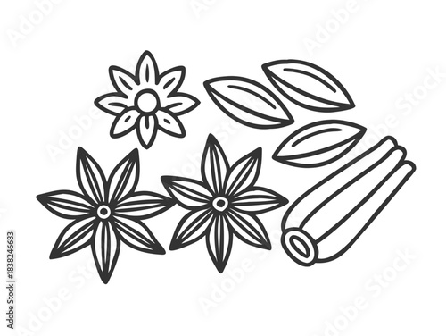 Cinnamon stick, star anise, anise and cardamom vector. Isolated icons on white background .vector icon
