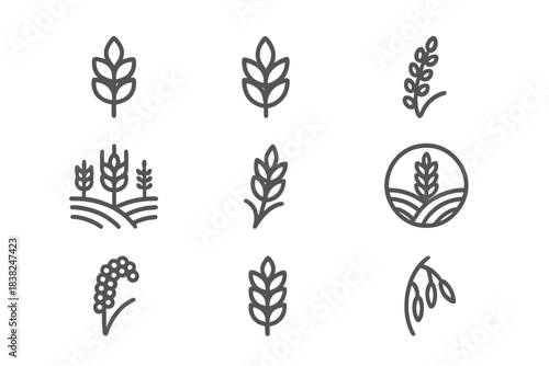 Stylized icons of grain and cereal plants for agriculture and food design