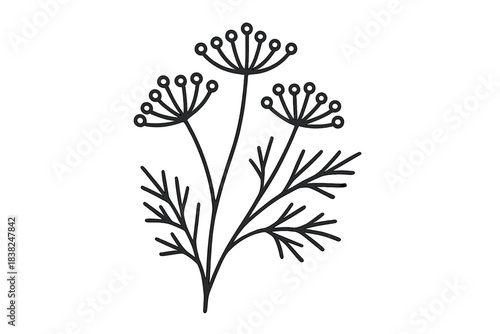 Minimalist black and white outline drawing of dill herb plant sprig